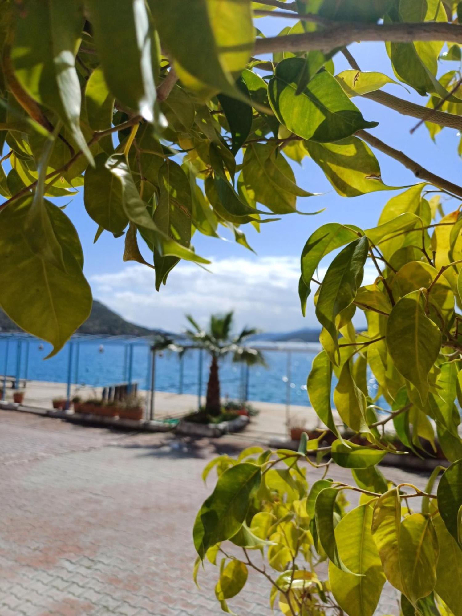 Yazici Otel Bozburun 马尔马里斯 外观 照片